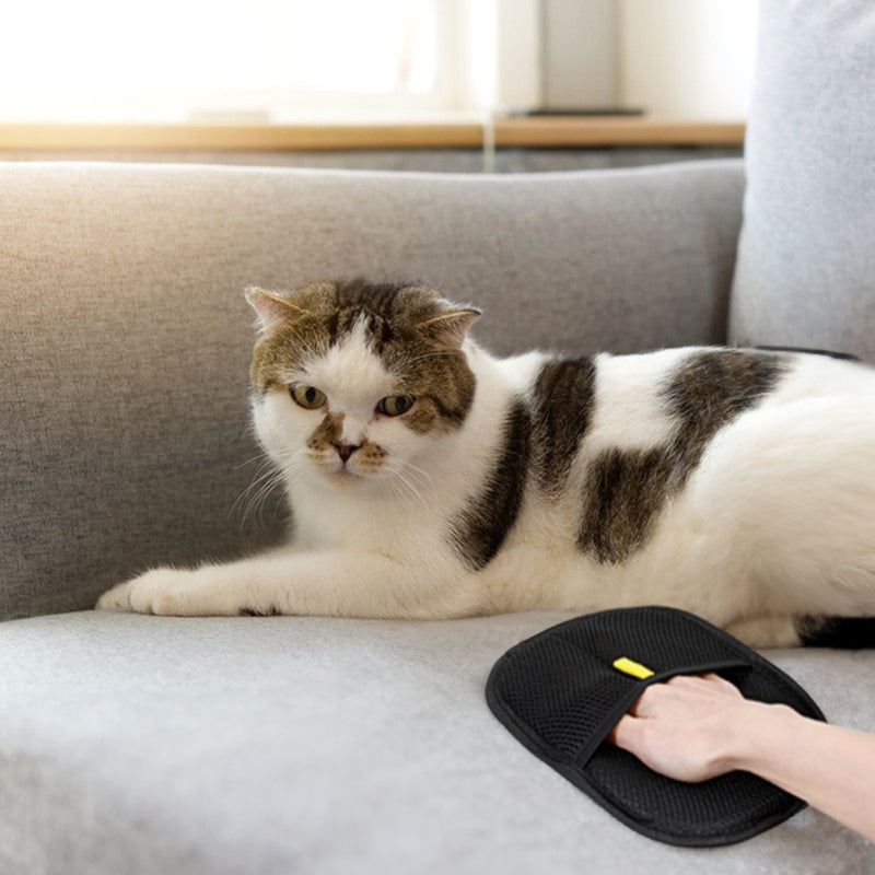 Petifyy Tüy Temizleme Aparatı